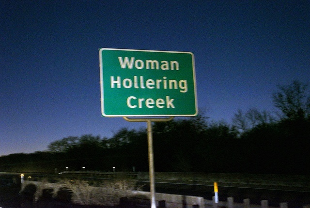 woman hollering creek discussion questions